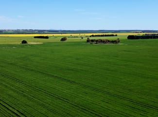 Rural / Farming commercial property for sale at Woorndoo-Darlington Road Woorndoo VIC 3272
