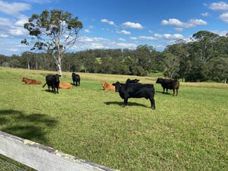 Rural / Farming commercial property sold at 72 Bells Lane Kurmond NSW 2757 Rural / Farming commercial property sold at 72 Bells Lane Kurmond NSW 2757