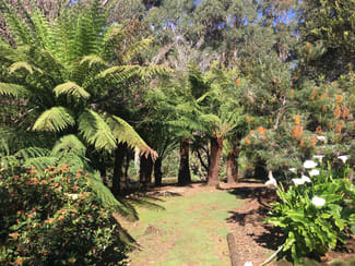 Rural / Farming commercial property for sale at 198 Whitehills Road Penguin TAS 7316
