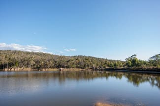 Rural / Farming commercial property for sale at 43 Fraser Lane Glen Aplin QLD 4381 Rural / Farming commercial property for sale at 43 Fraser Lane Glen Aplin QLD 4381