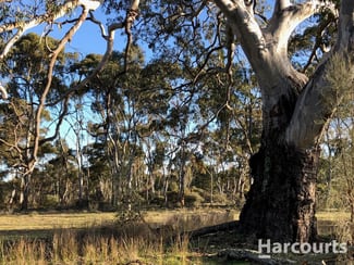 Rural / Farming commercial property sold at 260A Emmersons Road Noradjuha VIC 3409 Rural / Farming commercial property sold at 260A Emmersons Road Noradjuha VIC 3409