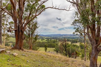 Rural / Farming commercial property sold at 1712 Stroud Hill Road Dungog NSW 2420 Rural / Farming commercial property sold at 1712 Stroud Hill Road Dungog NSW 2420
