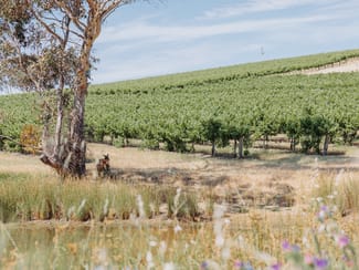 Rural / Farming commercial property for sale at 659A Spring Gully Road Clare SA 5453 Rural / Farming commercial property for sale at 659A Spring Gully Road Clare SA 5453