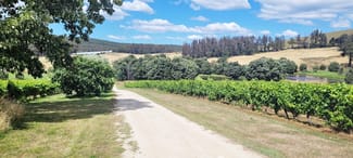 Rural / Farming commercial property for sale at 167 Adams Road Lebrina TAS 7254 Rural / Farming commercial property for sale at 167 Adams Road Lebrina TAS 7254
