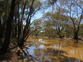 Rural / Farming commercial property for sale at 381 Wychitella Road Wedderburn VIC 3518