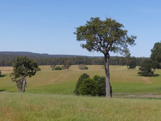 Rural / Farming commercial property for sale at 2441 Muir Highway (Perup) Manjimup WA 6258