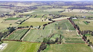 Rural / Farming commercial property sold at Pine Road Young NSW 2594 Rural / Farming commercial property sold at Pine Road Young NSW 2594
