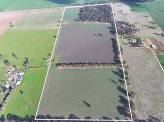 Rural / Farming commercial property sold at 7555 Burley Griffin Way Temora NSW 2666 Rural / Farming commercial property sold at 7555 Burley Griffin Way Temora NSW 2666