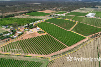 Rural / Farming commercial property for sale at 386 Westcliffs Avenue Cardross VIC 3496 Rural / Farming commercial property for sale at 386 Westcliffs Avenue Cardross VIC 3496