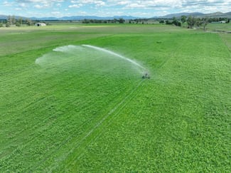 Rural / Farming commercial property sold at 162 Blairmore Lane Aberdeen NSW 2336 Rural / Farming commercial property sold at 162 Blairmore Lane Aberdeen NSW 2336