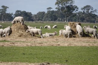 Rural / Farming commercial property for sale at 820 Border Road Strathdownie VIC 3312