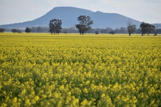 Rural / Farming commercial property for sale at "Oomaville & Devon" Henry Lawson Way Ooma NSW 2871 Rural / Farming commercial property for sale at "Oomaville & Devon" Henry Lawson Way Ooma NSW 2871