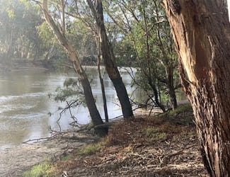 Rural / Farming commercial property for sale at 215 NORTH BARHAM ROAD Barham NSW 2732