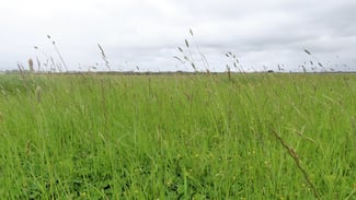 Rural / Farming commercial property sold at Contact Agent Macarthur VIC 3286 Rural / Farming commercial property sold at Contact Agent Macarthur VIC 3286