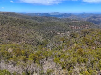 Rural / Farming commercial property sold at 2515 Nullo Mountain Road Rylstone NSW 2849