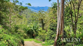 Rural / Farming commercial property for sale at 97-155 Doyle Road Wootha QLD 4552 Rural / Farming commercial property for sale at 97-155 Doyle Road Wootha QLD 4552