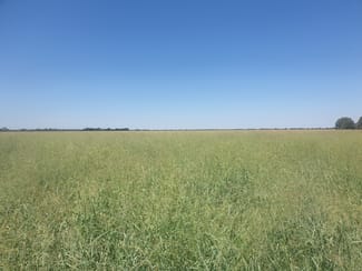 Rural / Farming commercial property sold at 351 Hannaford Road Hannaford QLD 4406 Rural / Farming commercial property sold at 351 Hannaford Road Hannaford QLD 4406