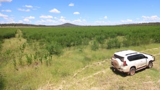 Rural / Farming commercial property sold at Lot 55 & 79 Burnett Highway Eidsvold QLD 4627 Rural / Farming commercial property sold at Lot 55 & 79 Burnett Highway Eidsvold QLD 4627
