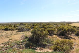 Rural / Farming commercial property sold at S22 Tori Hills Road Sandalwood SA 5309 Rural / Farming commercial property sold at S22 Tori Hills Road Sandalwood SA 5309