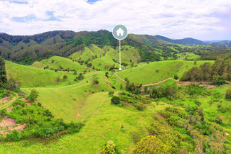 Rural / Farming commercial property sold at 210 Borhams Road Belbora NSW 2422 Rural / Farming commercial property sold at 210 Borhams Road Belbora NSW 2422