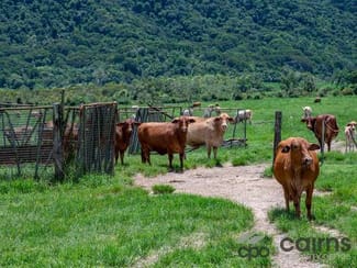 Rural / Farming commercial property sold at Lot 3/505 Mourilyan Harbour Road Mourilyan Harbour QLD 4858