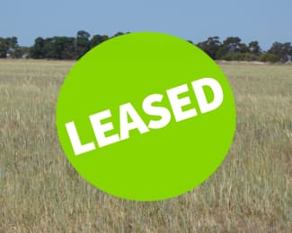Rural / Farming commercial property sold at Allotment 1 Cnr Bell Road and Carcuma Road Tintinara SA 5266
