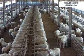 Rural / Farming commercial property sold at 1078 Mid Western Highway Cowra NSW 2794