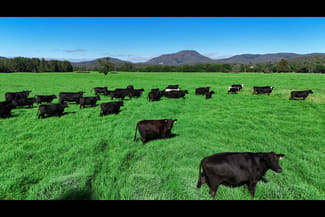 Rural / Farming commercial property sold at 1456 Rollands Plains Road Ballengarra NSW 2441 Rural / Farming commercial property sold at 1456 Rollands Plains Road Ballengarra NSW 2441