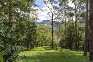 Rural / Farming commercial property sold at 60 Hillandale Road Broughton Vale NSW 2535 Rural / Farming commercial property sold at 60 Hillandale Road Broughton Vale NSW 2535