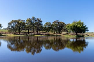 Rural / Farming commercial property sold at 2439 Mitchell Highway Vittoria NSW 2799 Rural / Farming commercial property sold at 2439 Mitchell Highway Vittoria NSW 2799