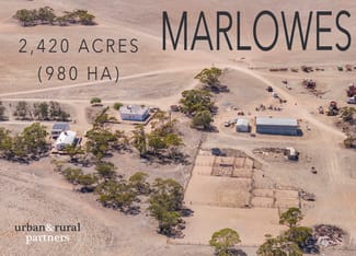Rural / Farming commercial property for sale at 1225a McEvoy Road Chandada SA 5680