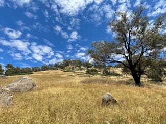 Rural / Farming commercial property sold at 1, 1 Ponkeen Creek Road Tarcombe VIC 3666 Rural / Farming commercial property sold at 1, 1 Ponkeen Creek Road Tarcombe VIC 3666