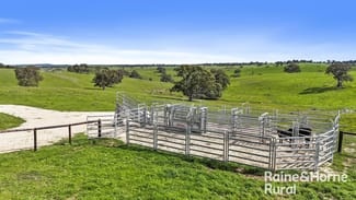 Rural / Farming commercial property sold at 166 Stirling Hill Road Gemmells SA 5255 Rural / Farming commercial property sold at 166 Stirling Hill Road Gemmells SA 5255