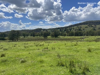 Rural / Farming commercial property sold at 'Mt Clear'/* Morven Road Dundee NSW 2370 Rural / Farming commercial property sold at 'Mt Clear'/* Morven Road Dundee NSW 2370