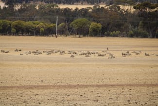 Rural / Farming commercial property for sale at 191 Great Southern Highway Woodanilling WA 6316 Rural / Farming commercial property for sale at 191 Great Southern Highway Woodanilling WA 6316