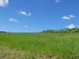 Rural / Farming commercial property sold at 79 Fallon Road Garradunga QLD 4860 Rural / Farming commercial property sold at 79 Fallon Road Garradunga QLD 4860