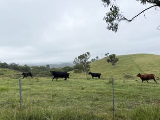 Rural / Farming commercial property sold at 940 Hanworth Road Bannaby NSW 2580