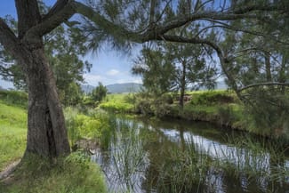 Rural / Farming commercial property sold at 218 Cranky Corner Road Stanhope NSW 2335 Rural / Farming commercial property sold at 218 Cranky Corner Road Stanhope NSW 2335