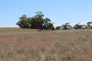 Rural / Farming commercial property sold at Proposed Allotment 2 Barney Road Netherton SA 5301 Rural / Farming commercial property sold at Proposed Allotment 2 Barney Road Netherton SA 5301