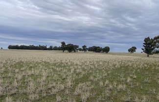 Rural / Farming commercial property for sale at 'East Gathan' 509 Gathan Road Deniliquin NSW 2710 Rural / Farming commercial property for sale at 'East Gathan' 509 Gathan Road Deniliquin NSW 2710