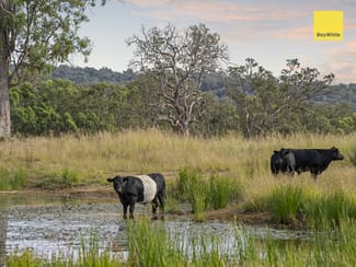 Rural / Farming commercial property sold at 559 Rifle Range Road Inverell NSW 2360