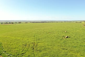 Rural / Farming commercial property sold at "Kirks" Kingsvale Road, KINGSVALE via Young NSW 2594
