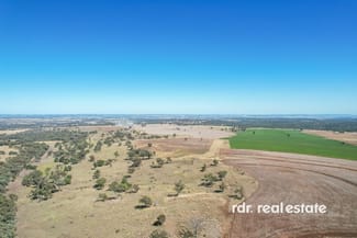 Rural / Farming commercial property sold at 1612 Pindaroi Road Inverell NSW 2360 Rural / Farming commercial property sold at 1612 Pindaroi Road Inverell NSW 2360
