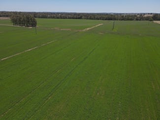 Rural / Farming commercial property for sale at 160 Lachlan Valley Way Forbes NSW 2871 Rural / Farming commercial property for sale at 160 Lachlan Valley Way Forbes NSW 2871
