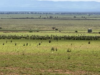 Rural / Farming commercial property for sale at Redgum Road Willowie SA 5431 Rural / Farming commercial property for sale at Redgum Road Willowie SA 5431