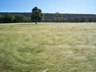 Rural / Farming commercial property for sale at 431 The Springs Road Rankins Springs NSW 2669 Rural / Farming commercial property for sale at 431 The Springs Road Rankins Springs NSW 2669