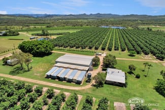Rural / Farming commercial property for sale at 65895 Burke Developmental Road Dimbulah QLD 4872