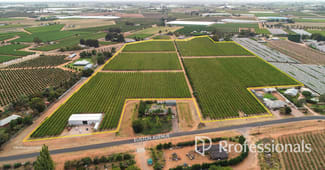 Rural / Farming commercial property for sale at 405 Euston Avenue Red Cliffs VIC 3496