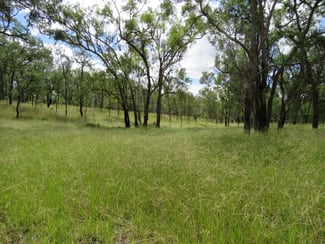 Rural / Farming commercial property sold at 450 Lawsons Broad Road, Coverty Wondai QLD 4606 Rural / Farming commercial property sold at 450 Lawsons Broad Road, Coverty Wondai QLD 4606