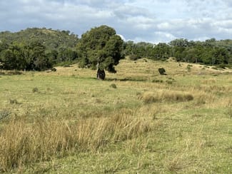Rural / Farming commercial property sold at Lot 46 Bunya Mountains Maclagan Road Rangemore QLD 4352 Rural / Farming commercial property sold at Lot 46 Bunya Mountains Maclagan Road Rangemore QLD 4352